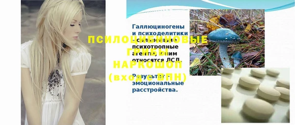 амф Абдулино